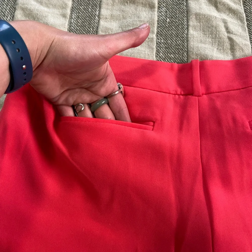 Pleated J Crew Dress Pant